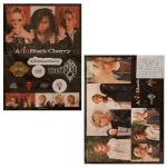 acid black cherry(abc) TOUR『2012』 A5ステッカー 2枚セット