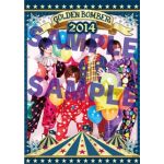 2014年カレンダー（Loppiバージョン）