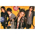 L'Arc～en～Ciel(ラルク) 20th L'Anniversary TOUR ポスター