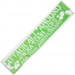 AAA(トリプルエー) AAA ARENA TOUR 2015 10th Anniversary -Attack All Around- マフラータオル(緑)