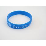 AAA(トリプルエー) AAA 10th Anniversary 代々木国立競技場 シリコンバンド(青)