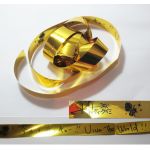 ナオト・インティライミ(NAOTO) LIVE キャラバン 2013@ARENA Nice catch the moment！ 銀テープ