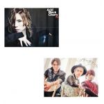 acid black cherry(abc) ポスター CD&DLでーた 付録 ソナーポケット