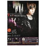 acid black cherry(abc) ポスター 蝶 2011 告知