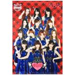AKB48(エーケービー) ポスター タペストリー　赤