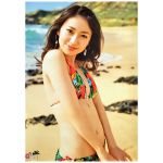 AKB48(エーケービー) ポスター 大島優子　水着