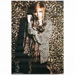 acid black cherry(abc) ポスター ピストル 購入特典 2011