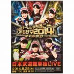 チームしゃちほこ(しゃちほこ) ポスター しゃちサマ2014～神々の祭り～ 日本武道館