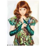 きゃりーぱみゅぱみゅ(きゃりー) ポスター にんじゃりばんばん　2013 特典