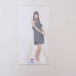 乃木坂46(のぎざか) 真夏の全国ツアー2015 個別ミニパネル 深川麻衣