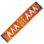 AAA(トリプルエー) FAN MEETING ARENA TOUR 2018～FAN FUN FAN～ 会場限定 マフラータオル 大阪 橙 西島隆弘