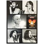 ベイビーレイズJAPAN(レイズ) ポスター 電撃の雷舞 ツアー 2015