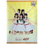 NGT48(エヌジーティー) ポスター ばかうけ 2015