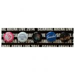 SCANDAL(スキャンダル) ARENA LIVE 2014『360°』＆『FESTIVAL』 缶バッチセット　5個