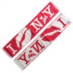 NISSY(AAA) その他 ほら、包んであげるよ。あーやっぱ私はNissyが好きです!! マフラータオル Entertainment 2nd LIVE -FINAL-