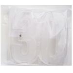 與真司郎(AAA) その他 30th Anniversary ライト Live『THIS IS WHO I AM』