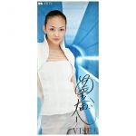 安室奈美恵(アムロ) ポスター VISEE ヴィセ コーセー 印刷サイン ロング