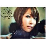 May'n(メイン) ポスター HEAT アニメイト特典 2012 A3クリアポスター