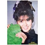 南野陽子(みなみのようこ) ポスター GARLAND 特典 1987 A1