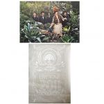 椎名林檎(東京事変) ポスター LIVE TOUR 2011 DISCOVER 諸君へ 2枚セット