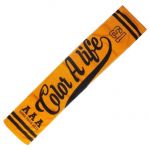 AAA(トリプルエー) DOME TOUR 2018 COLOR A LIFE マフラータオル 橙 西島隆弘