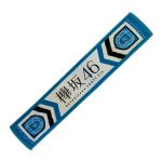 欅坂46(けやきざか46) 野外ワンマン「欅共和国 2017」 箱推し マフラータオル