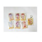 BanG Dream!(バンドリ！) ハロー、ハッピーワールド！(ハロハピ) 瀬田薫 北沢はぐみ 松原花音 Ani-Art アクリルキーホルダー 等 7点セット