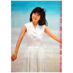 南野陽子(ナンノ) ポスター 白服