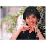 南野陽子(ナンノ) ポスター ツタ