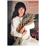 南野陽子(ナンノ) ポスター 1987年