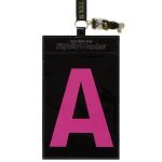 AAA(トリプルエー) AAA TOUR 2013 Eighth Wonder 2WAYパスケース