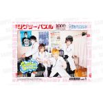 ジグソーパズル