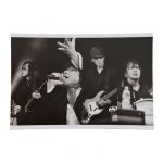 エレファントカシマシ(エレカシ) エレカシ野音2017 ポストカードセット 5枚組