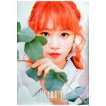 IZ*ONE(アイズワン) ポスター キム・チェウォン HEART*IZ 購入特典 2019