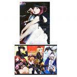 LiSA(リサ) ポスター Brave Freak Out クオリディア・コード アニメイト特典 両面 2016