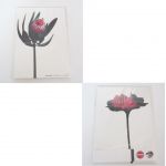 access(アクセス) tour 2003 パンフレット