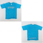 access(アクセス) tour 2005 Tシャツ(ブルー）