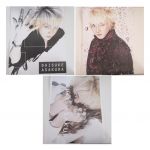 access(アクセス) 浅倉大介 A3ポスター3枚組