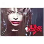 HYDE(VAMPS) ポスター CD ANTI 購入特典