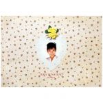 南野陽子(みなみのようこ) ポスター 写真集　in paris