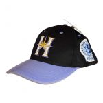 DREAMS COME TRUE(ドリカム) 史上最強の移動遊園地 WONDERLAND 2015 WLHS2015 レプリカキャップ ドリカム×ファイターズver. 北海道日本ハム