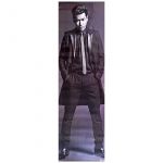 三代目 J Soul Brothers(JSB) ポスター 等身大 山下健二郎 CD THE BEST 特典