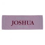 SEVENTEEN(セブチ) world tour ode to you in japan ジョシュア フェイスタオル