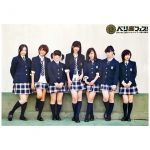 Berryz工房(ベリ工) ポスター コンサートツアー 2010秋冬 ?ベリ高フェス!?