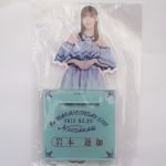 乃木坂46(のぎざか) 9th YEAR BIRTHDAY LIVE 岩本蓮加 個別BIGアクリルスタンド アクスタ