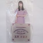 乃木坂46(のぎざか) 9th YEAR BIRTHDAY LIVE 北野日奈子 個別BIGアクリルスタンド アクスタ