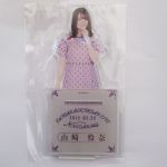 乃木坂46(のぎざか) 9th YEAR BIRTHDAY LIVE 山崎怜奈 個別BIGアクリルスタンド アクスタ