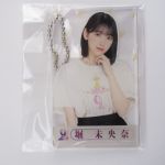 乃木坂46(のぎざか) 9th YEAR BIRTHDAY LIVE 堀未央奈 個別アクリルカードキーホルダー