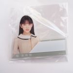 乃木坂46(のぎざか) その他 堀未央奈 個別ネームプレート しあわせの保護色