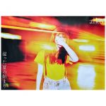 aiko(アイコ) ポスター 湿った夏の始まり 2018